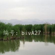 ĺ֮